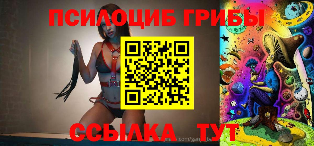 Новотроицк  как найти   Псилоцибиновые грибы Cubensis  Вход с VPN  Галлюциногенные грибы прущие грибы 