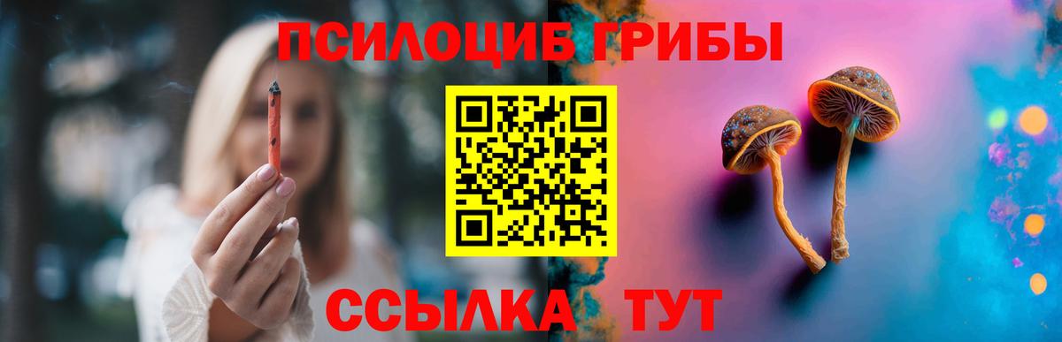 Галлюциногенные грибы ЛСД Новотроицк